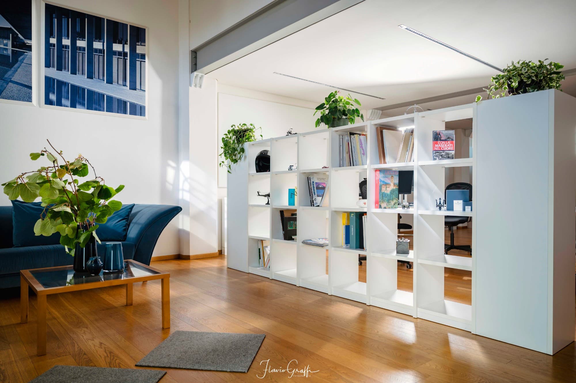 The white bookcase in GAM’s Treviso office, with plants and books
